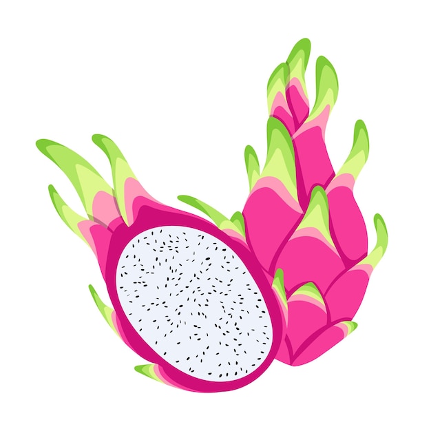 Dragon de fruta. Ilustración de vector aislado sobre fondo blanco