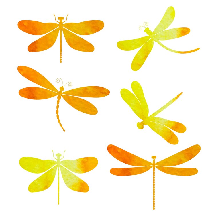 Vector dragonfly conjunto acuarela silueta sobre fondo blanco, vector