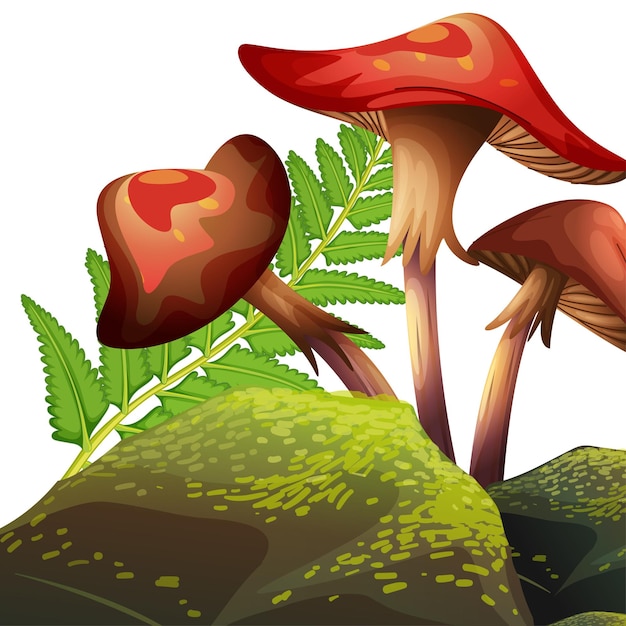 A drawing of mushrooms in a grass with a white background