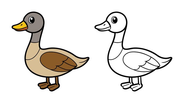 duck illustration for coloring and kids educational material