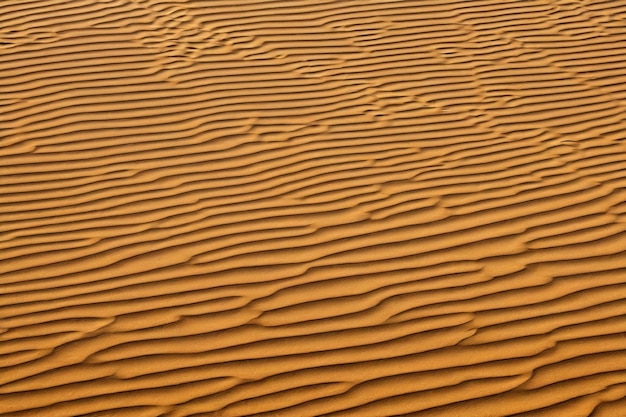 Vector las dunas de arena del desierto