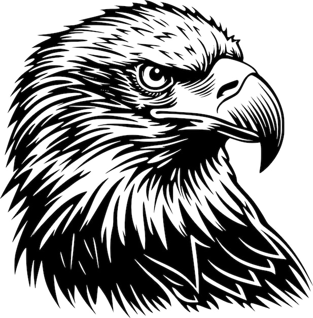 Vector eagle vector black and white