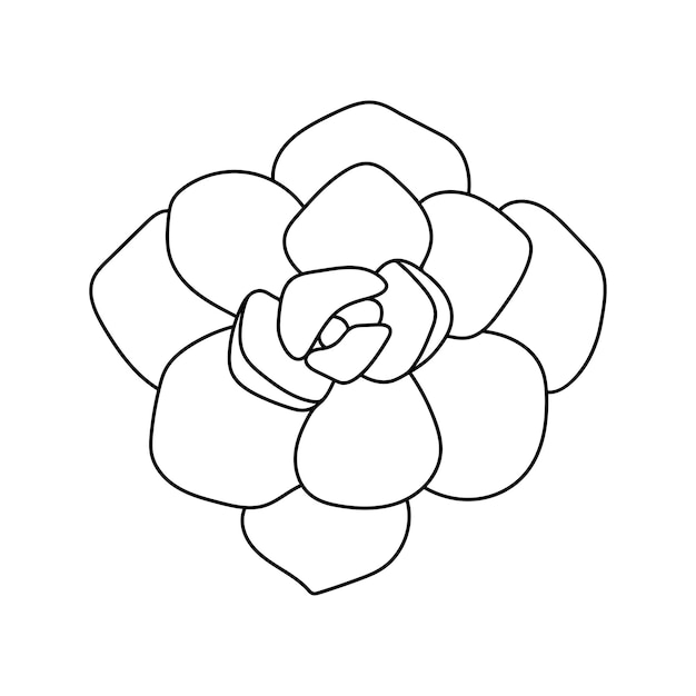 Echeveria suculenta en la ilustración de vector de estilo garabato esquema de flor del desierto para impresión y diseño