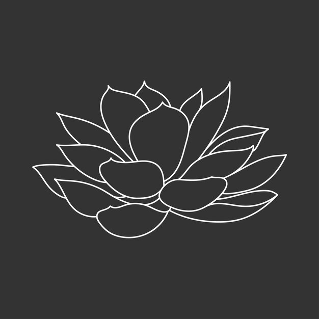 Echeveria suculenta en la ilustración de vector de estilo garabato Vista lateral de la flor del desierto para imprimir