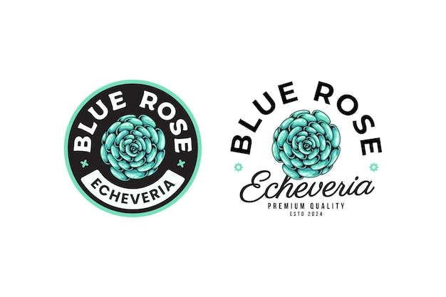 Vector echeveria de suculentas rosas azules diseño de logotipo para tiendas de plantas y negocios de amantes