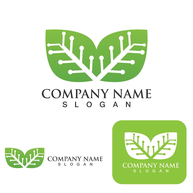 Ecología de la hoja verde Elemento de la naturaleza del logotipo