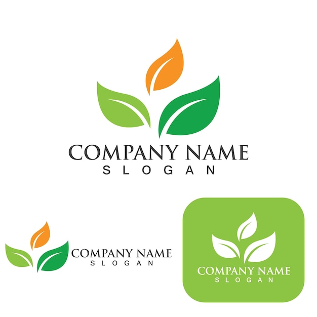 Ecología de la hoja verde Elemento de la naturaleza del logotipo
