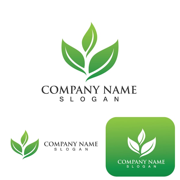Ecología de la hoja verde Elemento de la naturaleza del logotipo