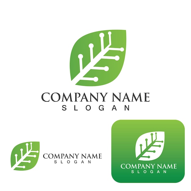 Ecología de hoja verde Logo naturaleza elemento