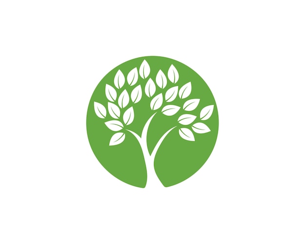 Ecología de las hojas naturaleza Template de logotipo