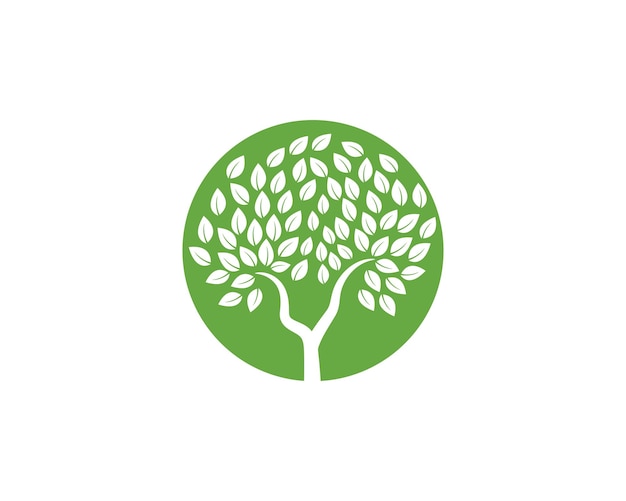 Ecología de las hojas naturaleza Template de logotipo