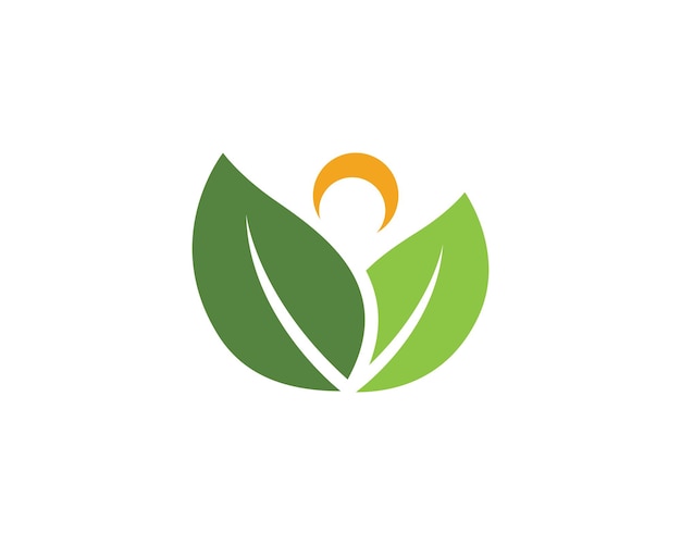 Ecología de las hojas naturaleza Template de logotipo