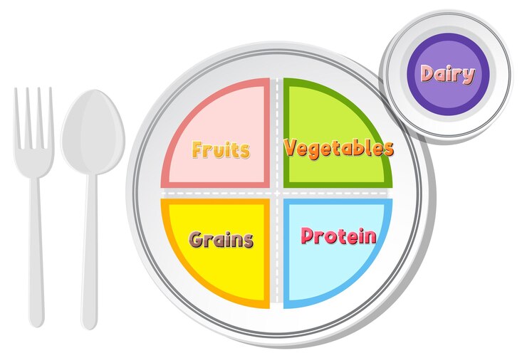 Vector educación para comer alimentos saludables y macronutrientes en porciones