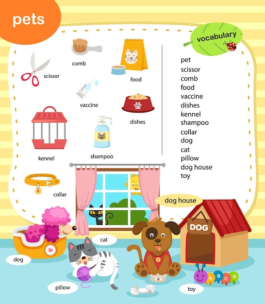 Educación vocabulario mascotas vector ilustración