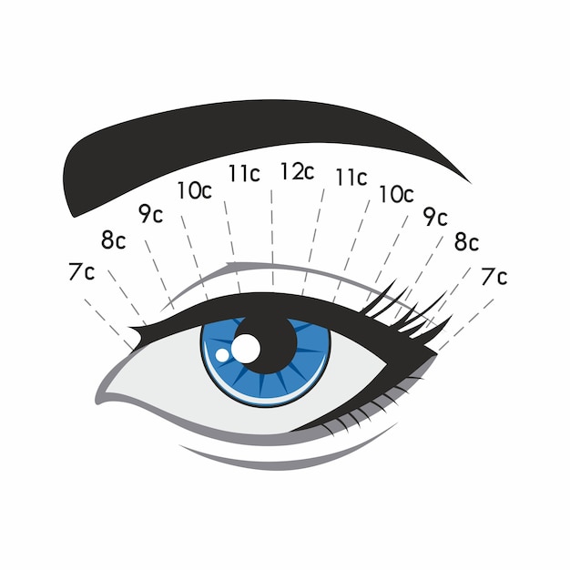 Vector el efecto ardilla extensión de pestañas instrucción procedimiento tipo y forma de pestañas ojo azul