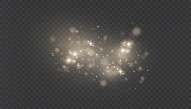 Efecto bokeh con chispas de partículas de polvo brillantes y resaltos aislados en un fondo transparente