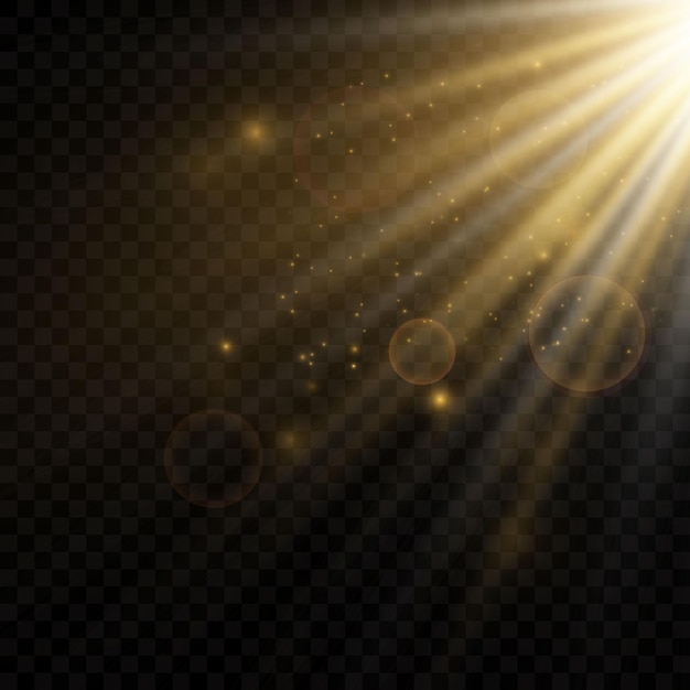 Efecto de luz de flash de lente especial de luz solar transparente de vectorEfecto de luz de flash de lente especial de luz solar transparente de vector
