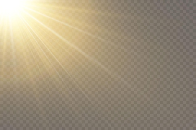 efecto de luz de flash de lente especial de luz solar.