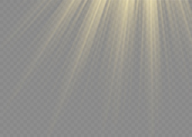 Efecto de luz de luz solar transparente. Rayos y rayos estelares.
