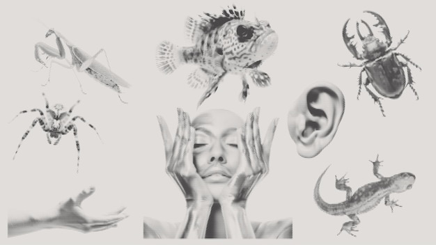 Efecto de medio tono retro para el arte de collage grunge punk y2k Diseño vectorial en medio tono puntiagudo