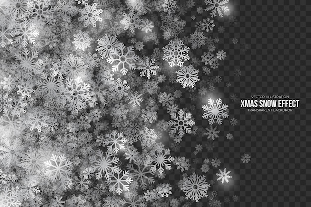 Efecto de nieve de Navidad sobre fondo transparente
