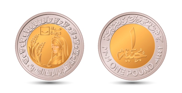 Egipto 2021. Moneda conmemorativa Agricultura. Anverso y reverso de moneda egipcia de una libra.