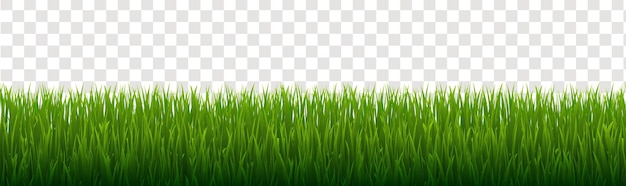 eGreenGrassAndIsolatedTransparentBackground_10_240712 (en inglés) es el nombre de la página web de la red de redes sociales.