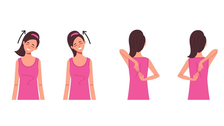 Vector ejercicio de la columna vertebral del cuello y el hombro conjunto aislado ilustración de elementos de diseño gráfico plano vectorial