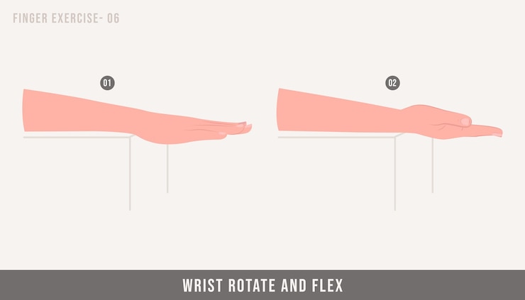Vector ejercicio de rotación y flexión de la muñeca ejercicios de estiramiento de la muñeca y los dedos