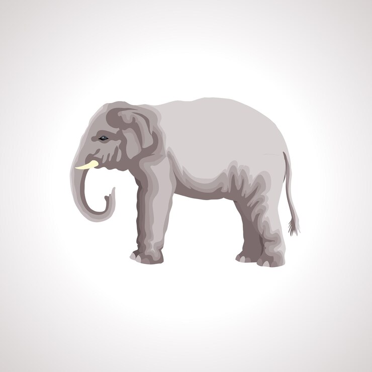 Vector elefante aislado ilustración vectorial