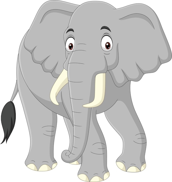 Elefante de dibujos animados aislado en blanco