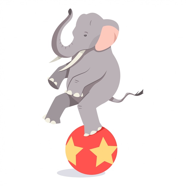 Elefante equilibra la pelota.