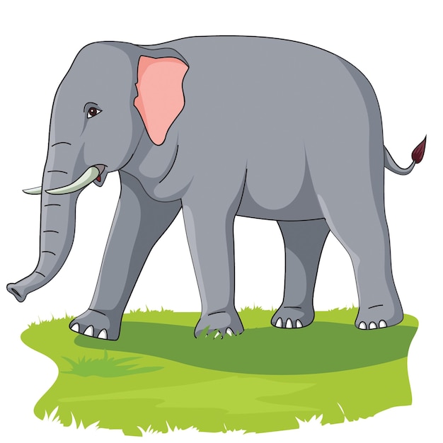 elefante, en, el, hierba, vector, ilustración