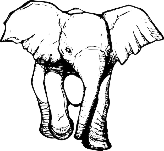 Vector elefante