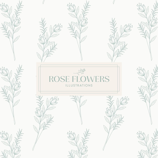 Elegancia blanco verde Monolina floral dibujada a mano diseño de fondo de flor de rosa botánica