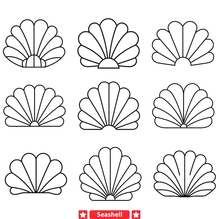 Vector elegancia oceánica exquisitos patrones de conchas marinas en siluetas vectoriales detalladas