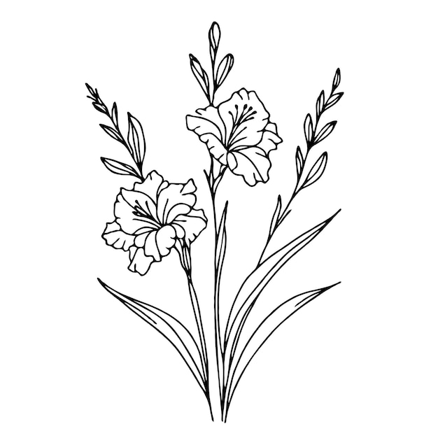 Elegant Line Art Gladiolus Floral Design