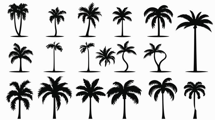 Vector elegante árbol de palma negro dibujo vectorial con siluetas de palmeras