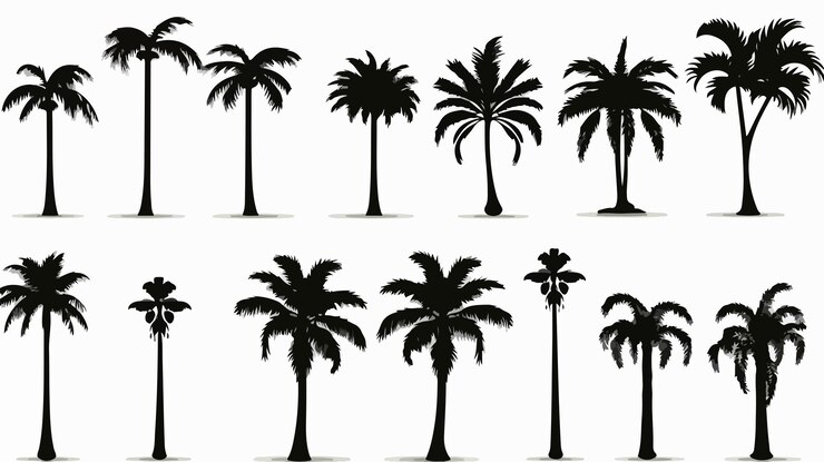 Vector elegante árbol de palma negro dibujo vectorial con siluetas de palmeras