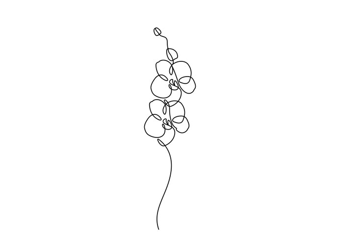 El elegante arte de la línea de orquídeas