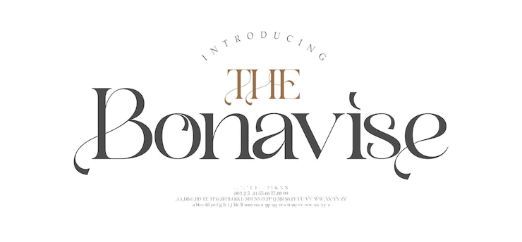 Vector elegante boda alfabeto letras fuente tipografía lujo clásico fuentes decorativas vintage retro logo