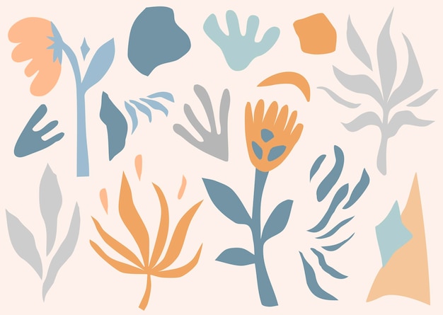 Elegante colección abstracta de plantas y flores en estilo plano Ilustración vectorial para compos de flores