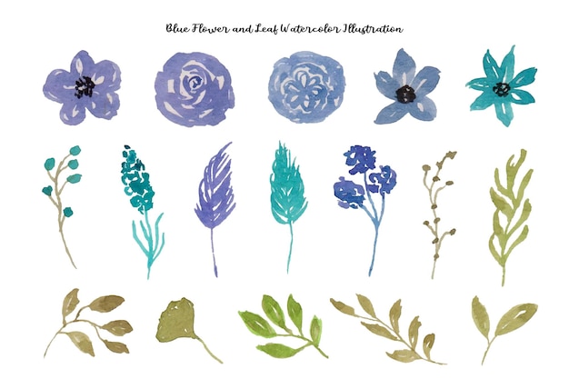 Elegante colección de acuarelas de flores azules