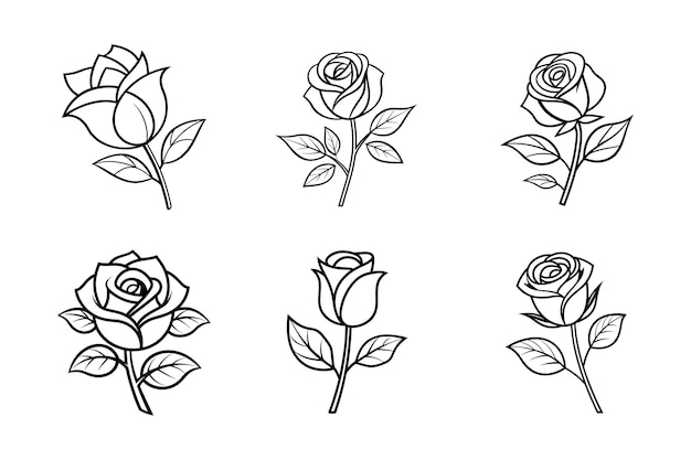 Elegante colección de arte de la línea de rosas