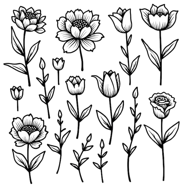 Elegante colección de arte con líneas florales
