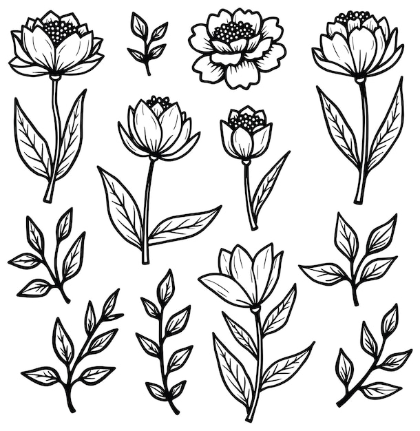 Elegante colección de arte con líneas florales