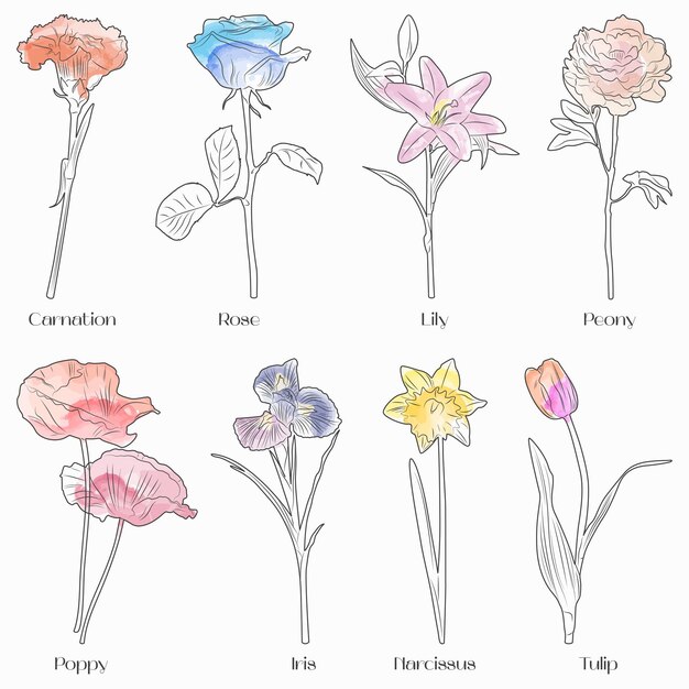 Elegante colección de diferentes flores en estilo acuarela. Diseño de acuarela.