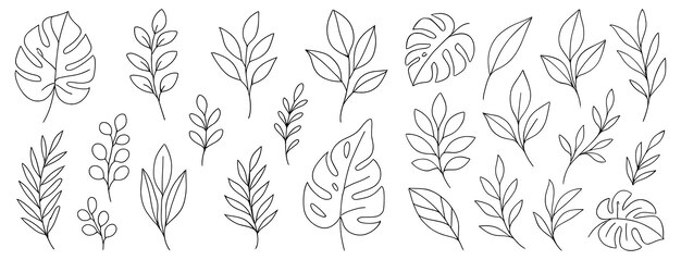 Elegante colección de líneas artísticas botánicas de diversas hojas y follajes para diseños artísticos