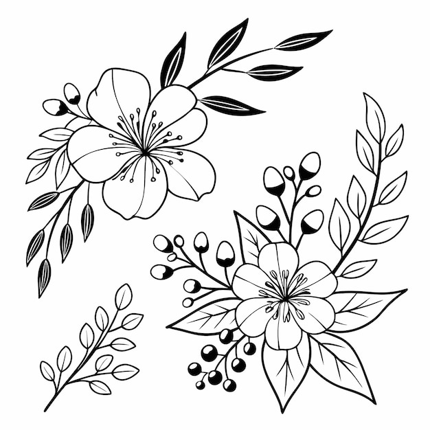 Elegante conjunto de arte de línea floral