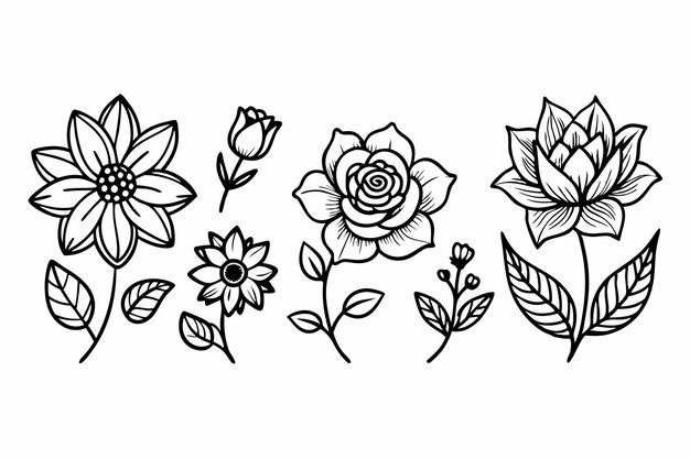 Elegante conjunto de Shallouette Flower Line Art